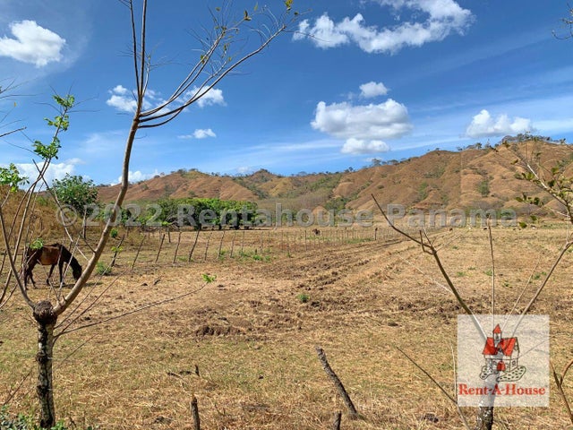 Commercial Property for Sale in Pedasi Los Santos 06065